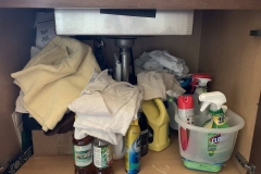 Under Sink Cabinet - Before